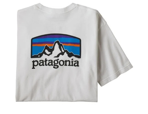 patagonia tee