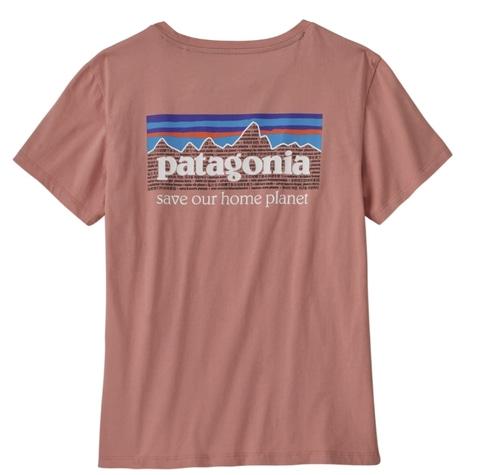 patagonia tee - 여자사이즈