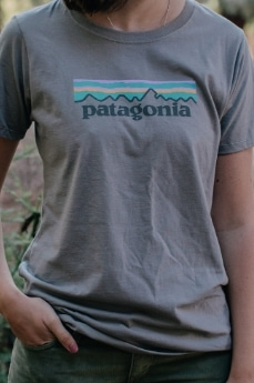 Patagonia tee 